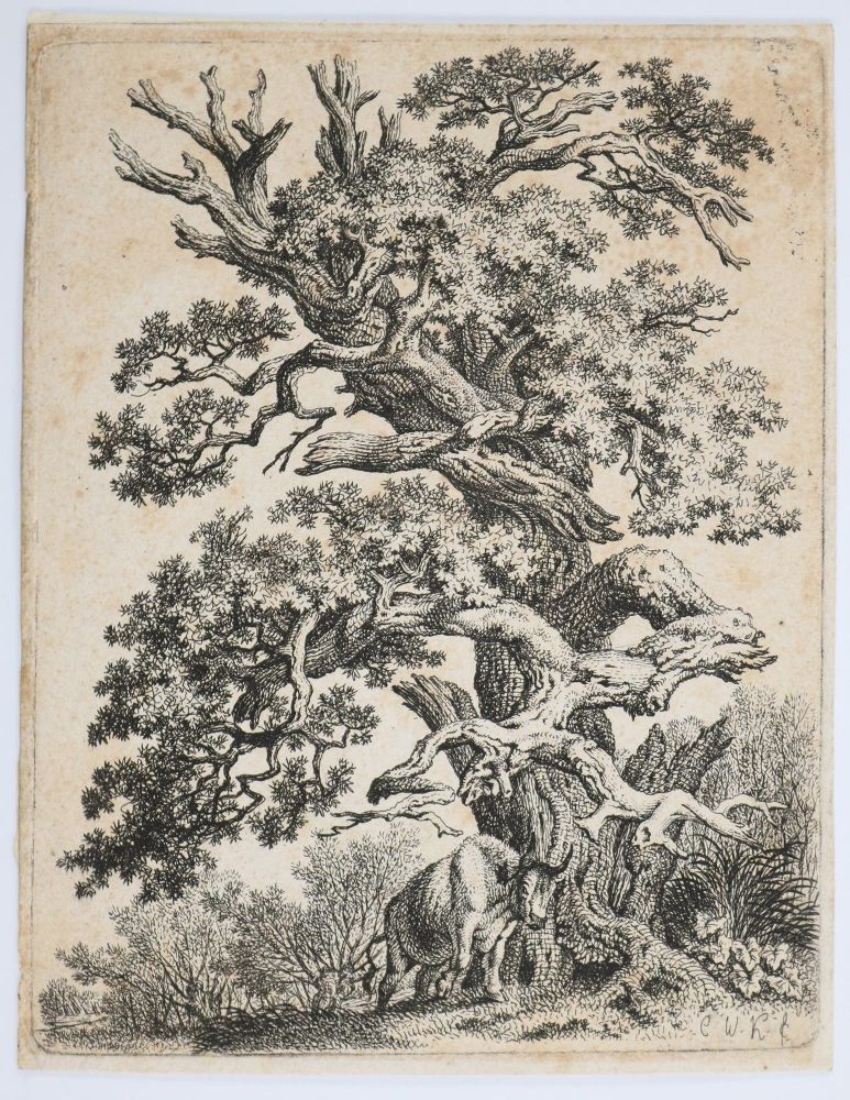 Große Abbildung Nr.5: 140-4675 Tiere und Landschaften.: (Künstlergraphik)