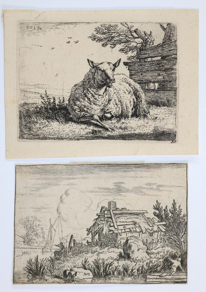 Große Abbildung Nr.6: 140-4675 Tiere und Landschaften.: (Künstlergraphik)