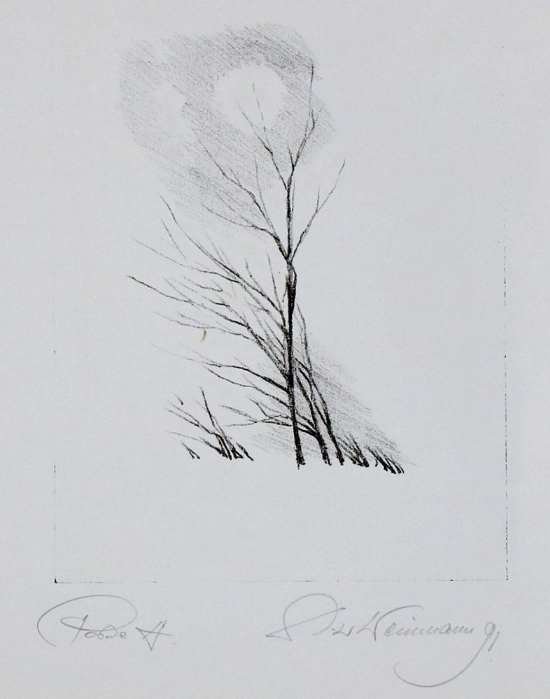 Große Abbildung Nr.9: 140-4727 Weinmann, Dieter: (Künstlergraphik)