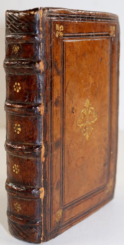 Große Abbildung Nr.2: 140-501 Patricius,F.: (Alte Drucke, Handschriften und Theologie)