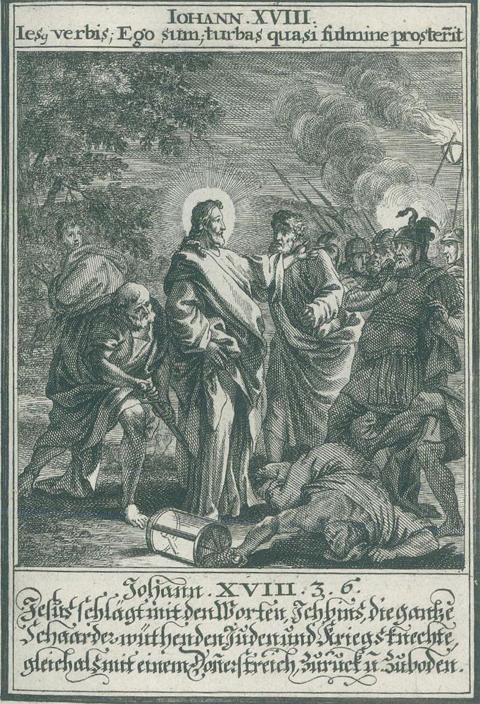 Große Abbildung Nr.4: 140-570 Sandrart,J.J.v.: (Alte Drucke, Handschriften und Theologie)