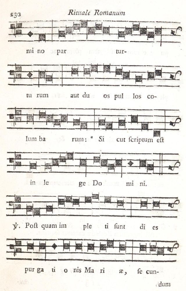 Große Abbildung Nr.2: 140-597 Seckauer Rituale.: (Alte Drucke, Handschriften und Theologie)