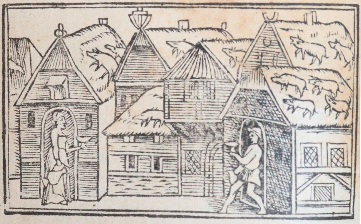 Große Abbildung Nr.2: 140-607 Olaus Magnus.: (Skandinavien)