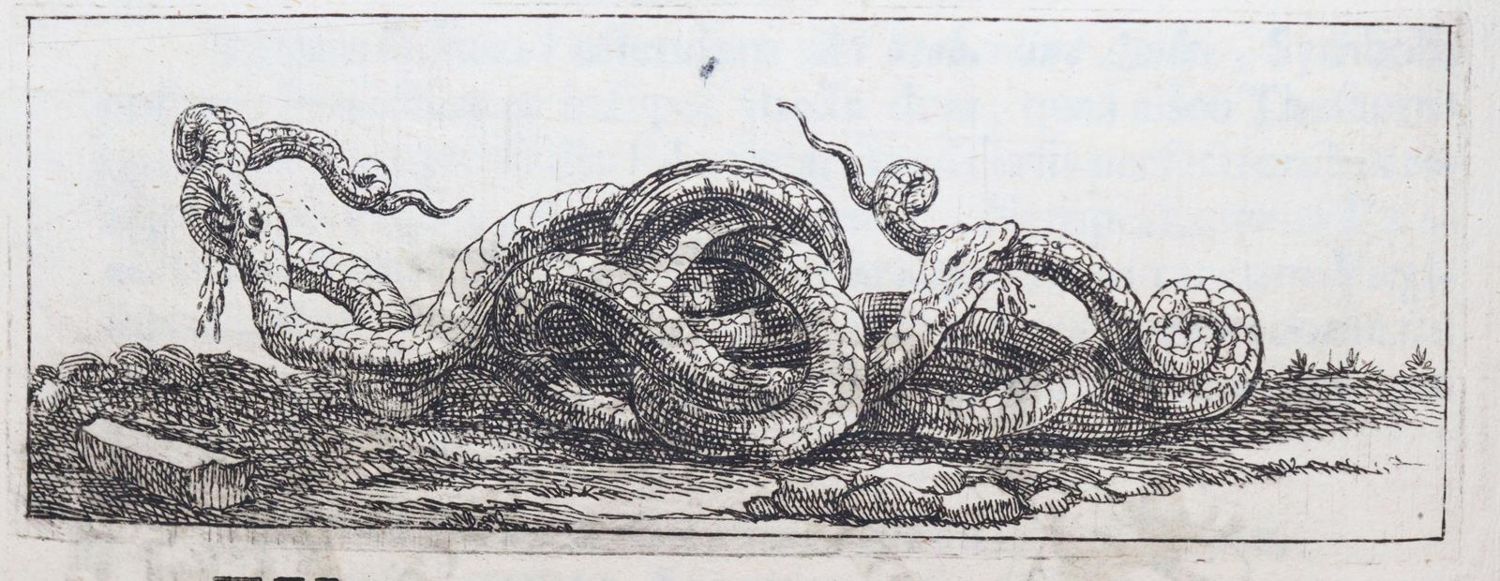 Große Abbildung Nr.3: 140-685 Wagenseil,J.C.: (Alte Drucke, Handschriften und Theologie)