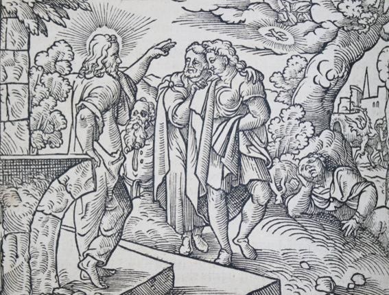 Große Abbildung Nr.3: 140-695 Werner,J.S.: (Alte Drucke, Handschriften und Theologie)