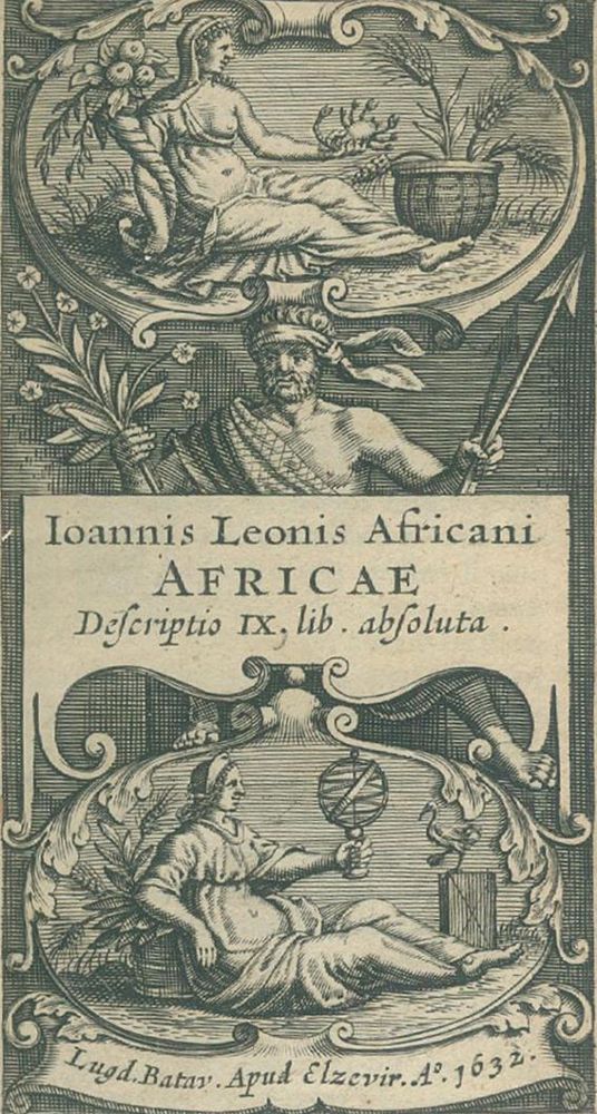 Große Abbildung Nr.1: 140-8 Leo Africanus,J.: (Afrika)