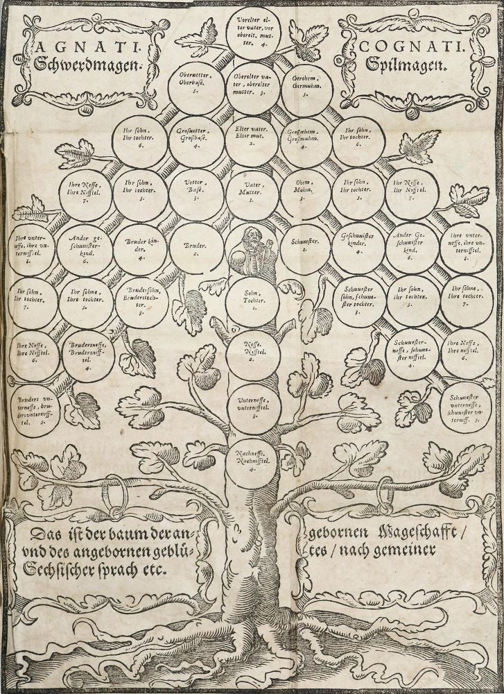 Große Abbildung Nr.1: 140-805 König,K.: (Juridica und Kriminologie)