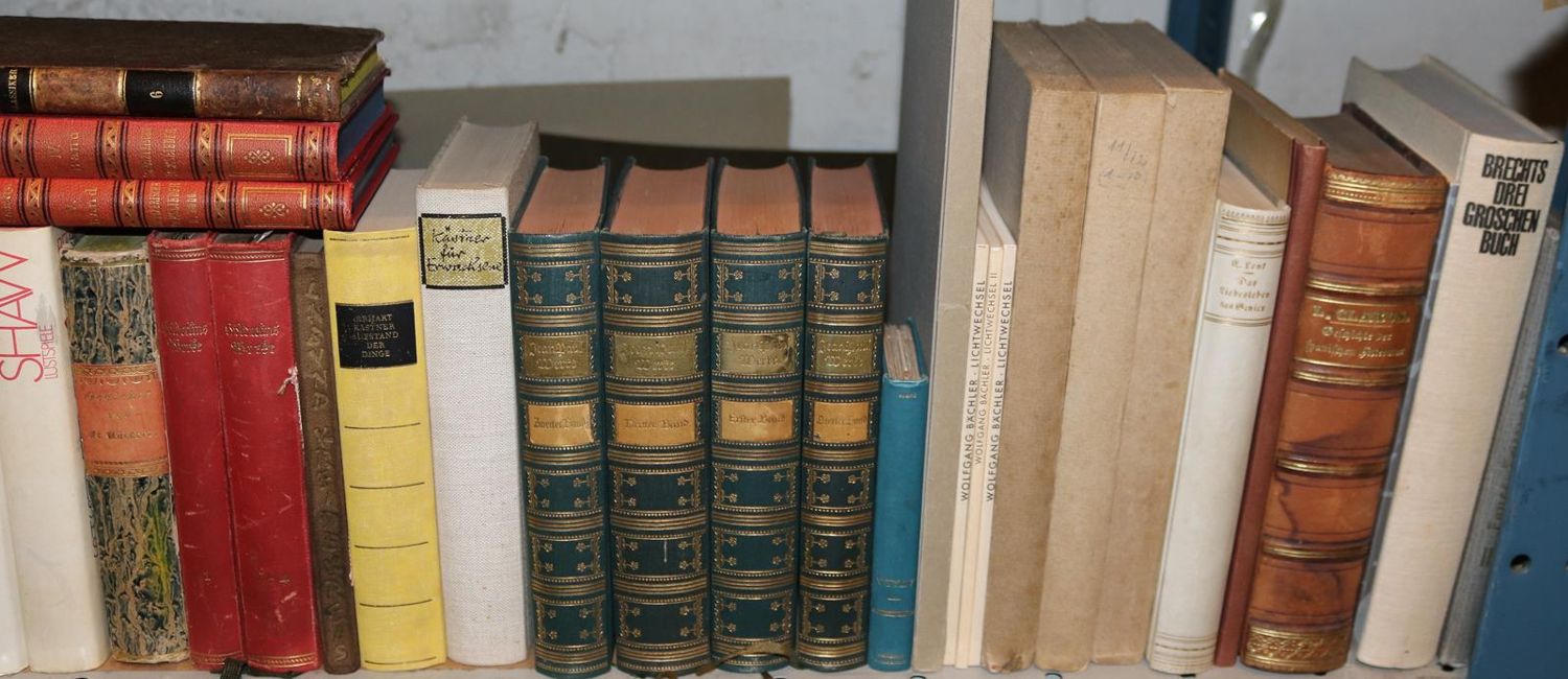 Große Abbildung Nr.229: 140-838 Literatur.: (Konvolut)