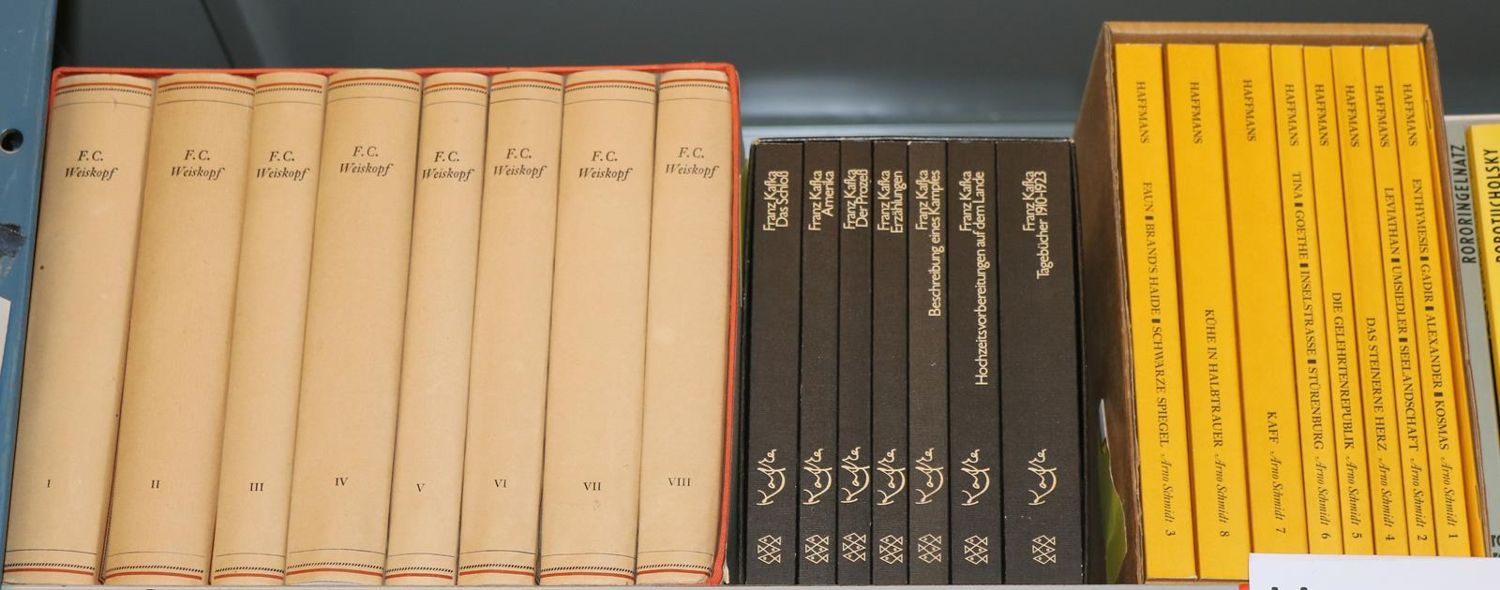 Große Abbildung Nr.230: 140-838 Literatur.: (Konvolut)