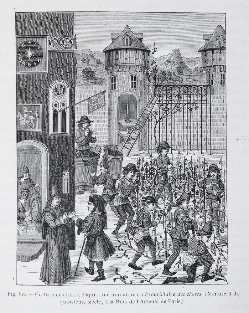 Große Abbildung Nr.4: 140-846 Konvolut: (Varia)