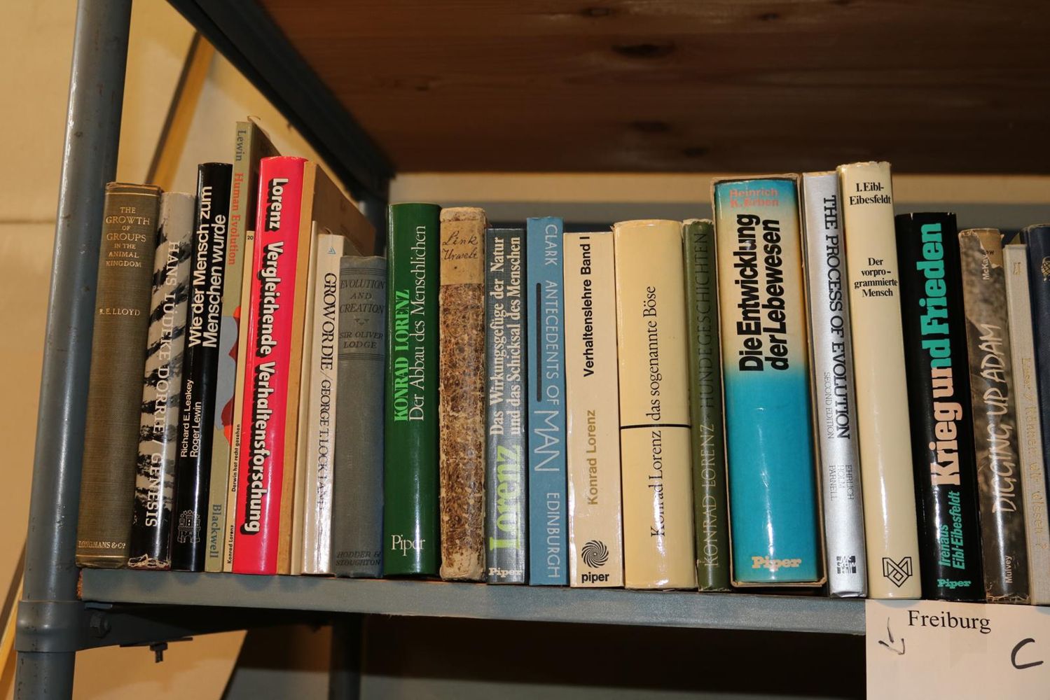 Große Abbildung Nr.13: 140-852 Konvolut: (Varia)