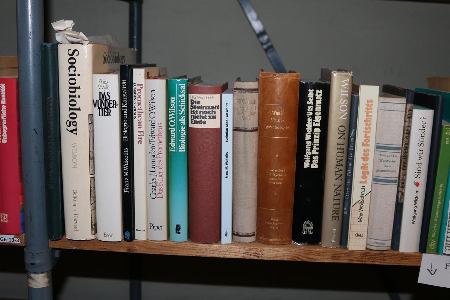Große Abbildung Nr.131: 140-852 Konvolut: (Varia)