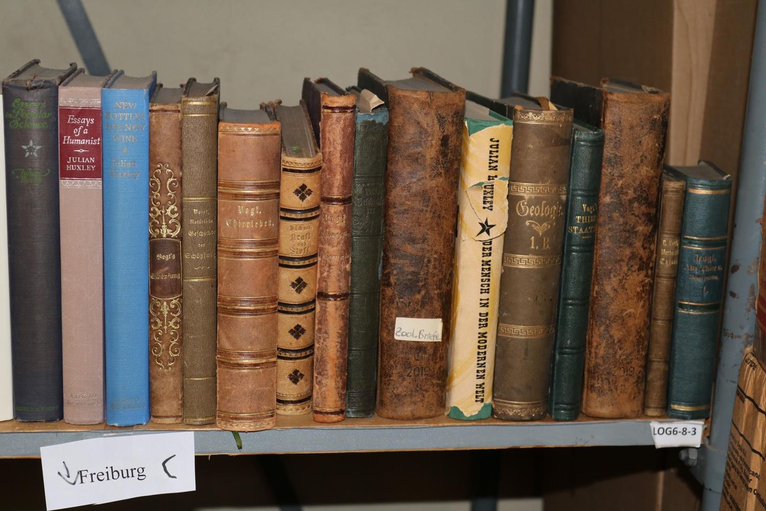 Große Abbildung Nr.167: 140-852 Konvolut: (Varia)
