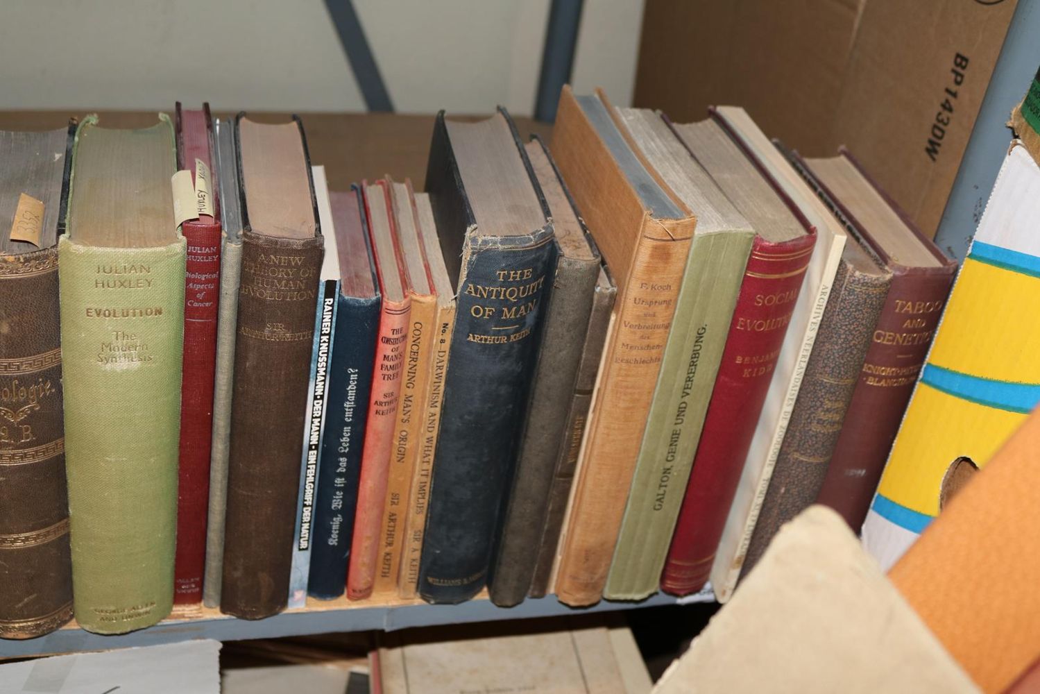Große Abbildung Nr.169: 140-852 Konvolut: (Varia)