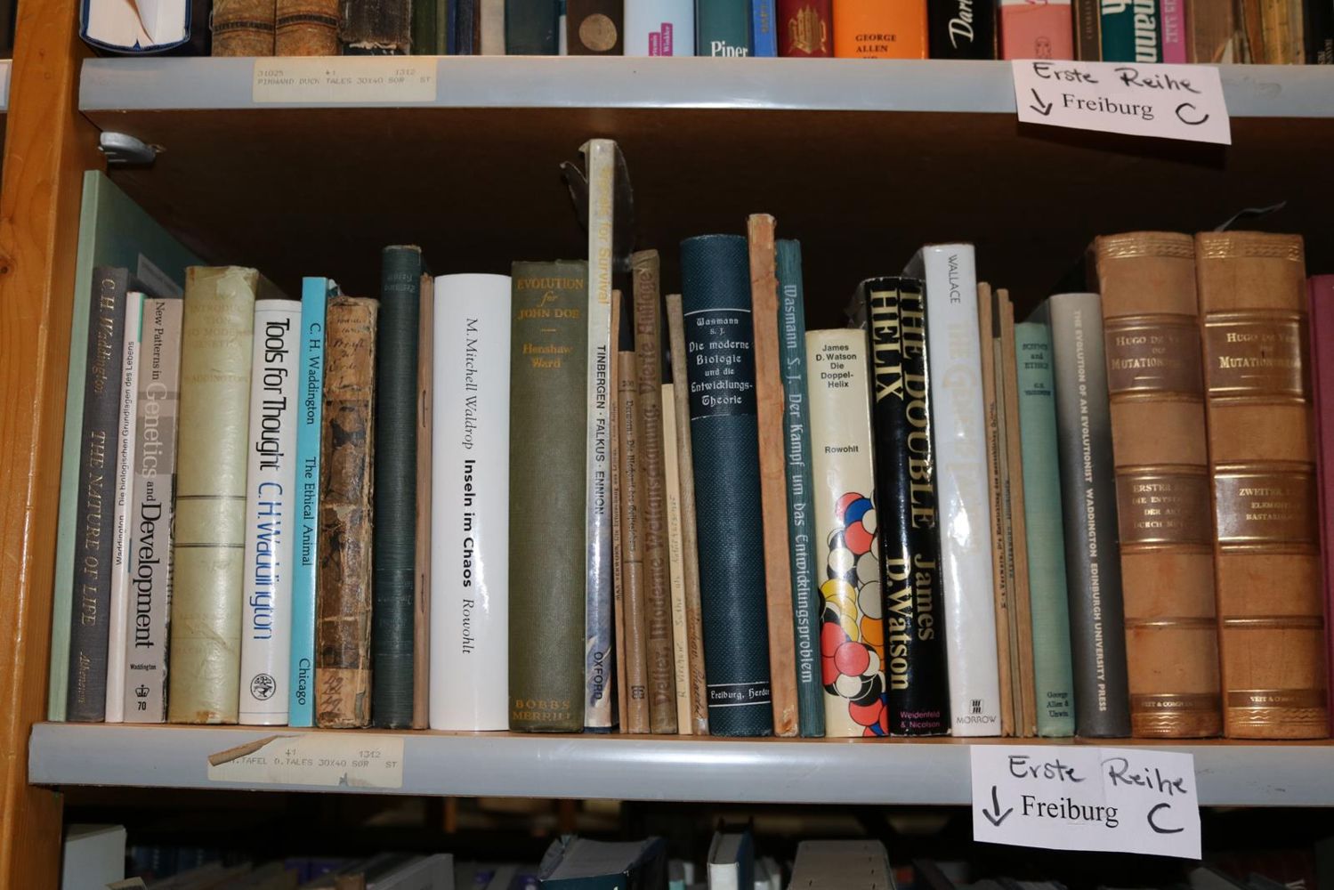 Große Abbildung Nr.172: 140-852 Konvolut: (Varia)