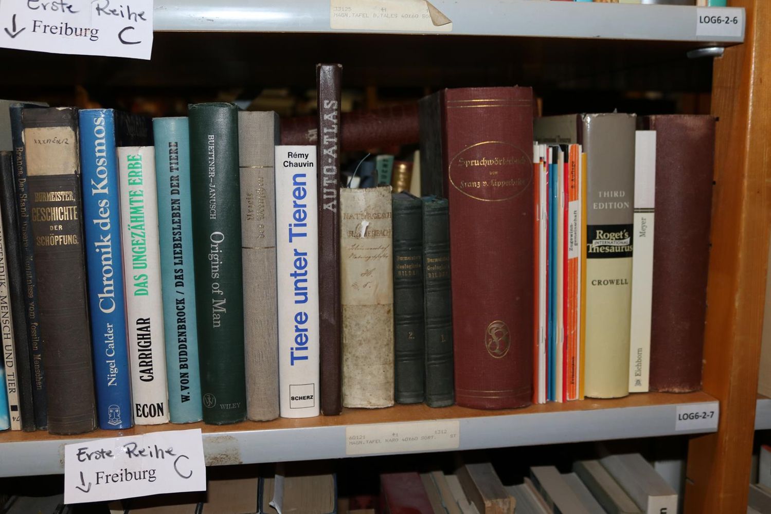 Große Abbildung Nr.175: 140-852 Konvolut: (Varia)