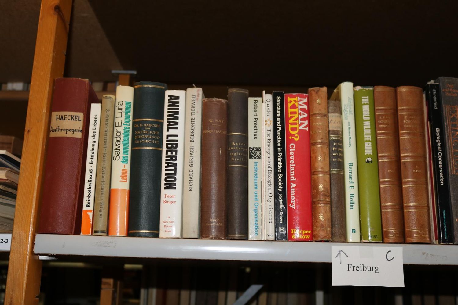 Große Abbildung Nr.180: 140-852 Konvolut: (Varia)
