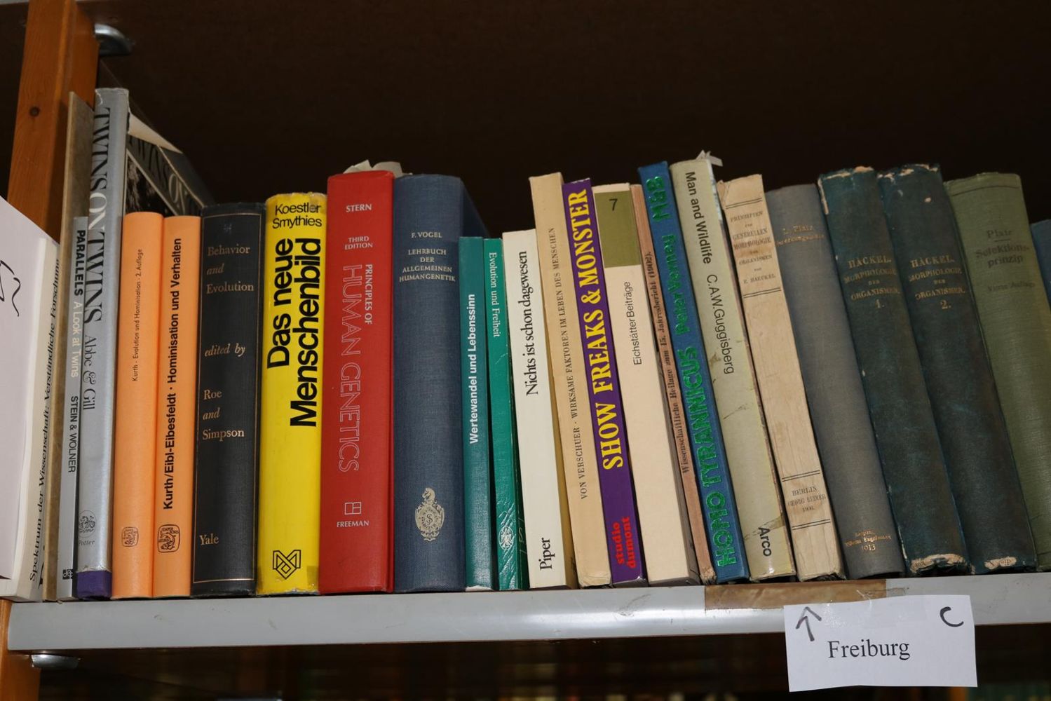 Große Abbildung Nr.186: 140-852 Konvolut: (Varia)
