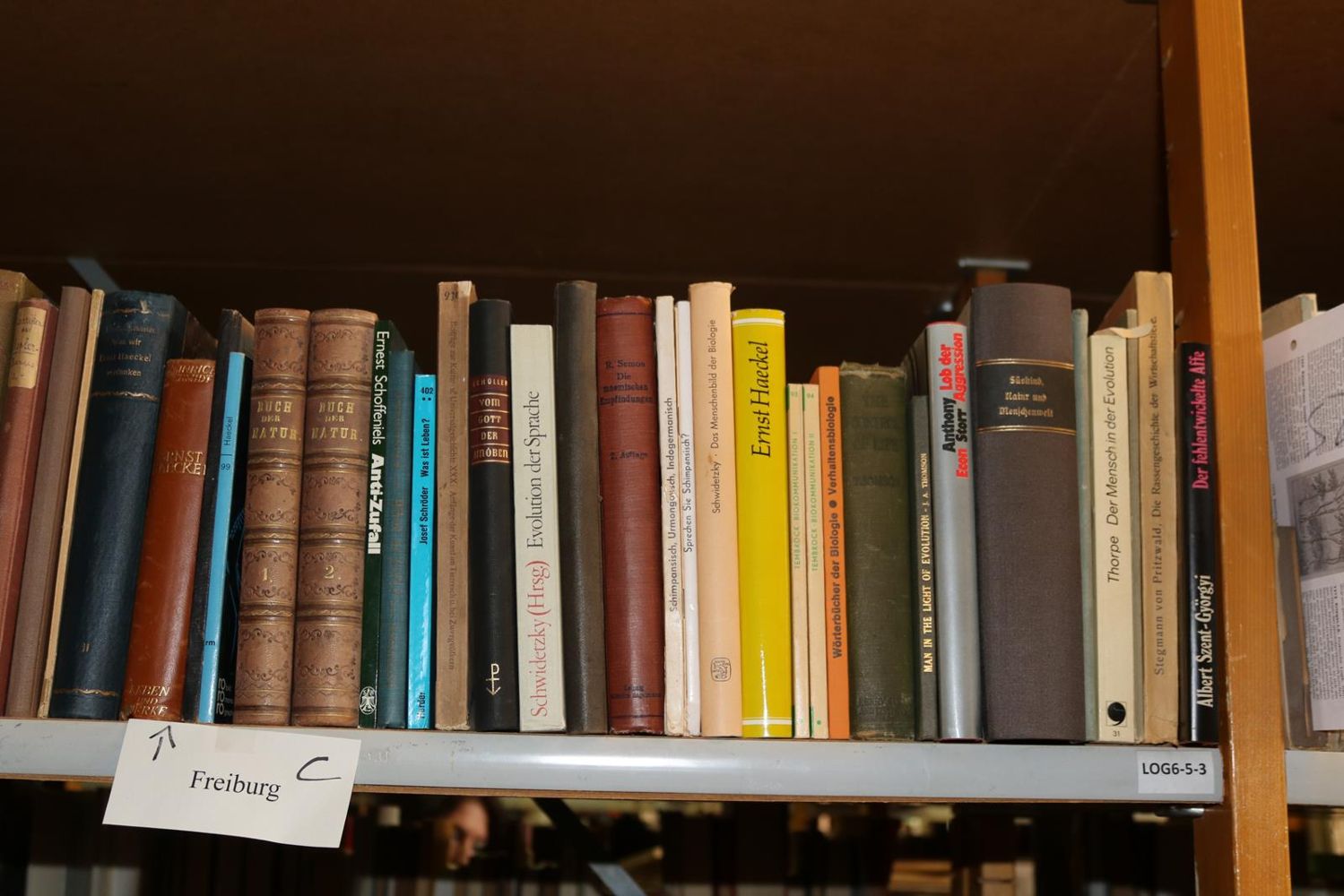 Große Abbildung Nr.193: 140-852 Konvolut: (Varia)