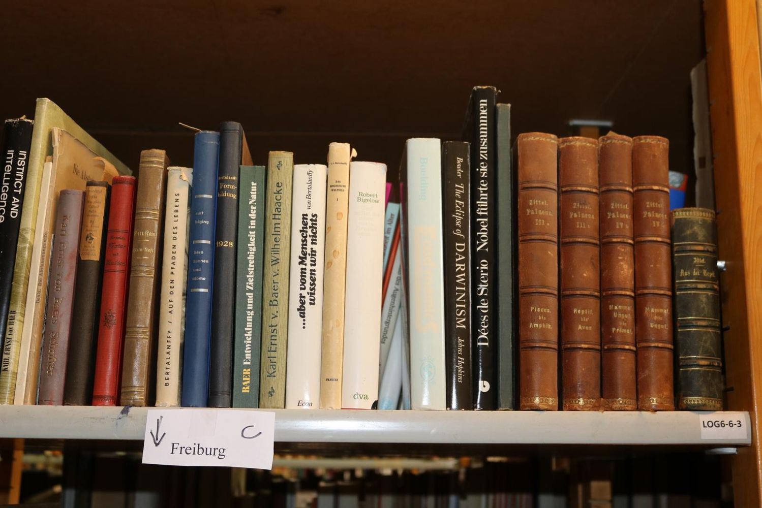 Große Abbildung Nr.197: 140-852 Konvolut: (Varia)