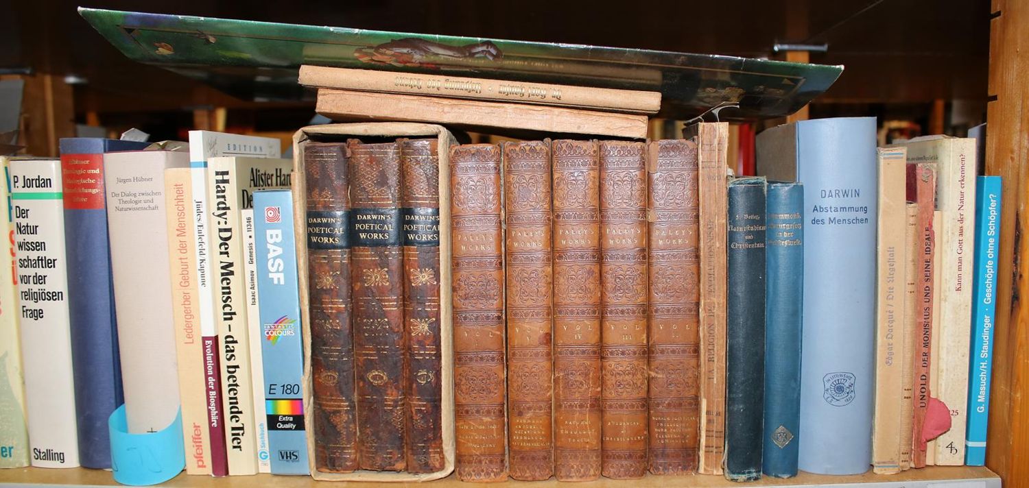 Große Abbildung Nr.22: 140-854 Konvolut: (Varia)