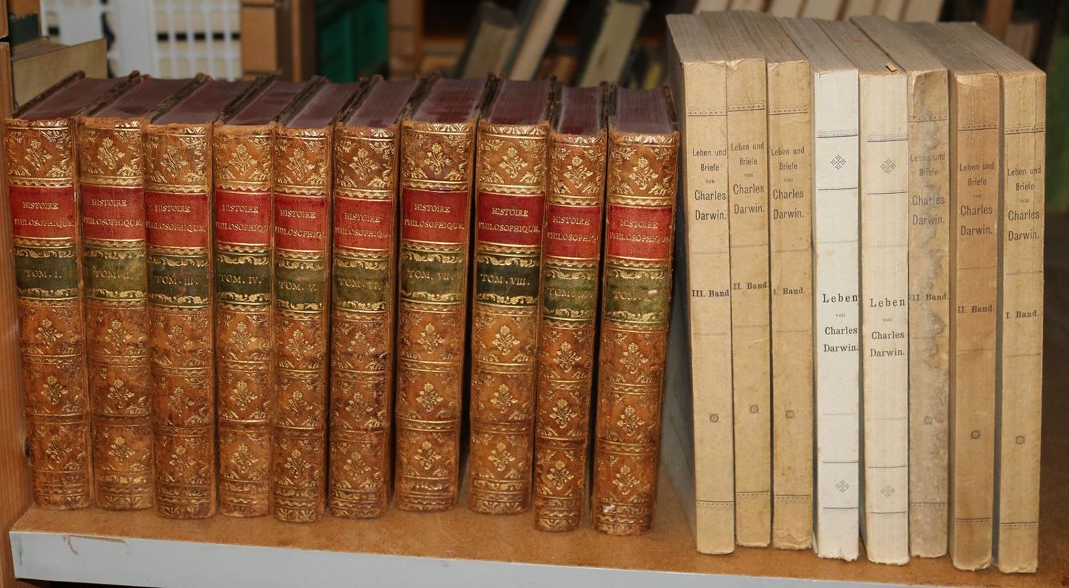 Große Abbildung Nr.215: 140-855 Konvolut: (Varia)