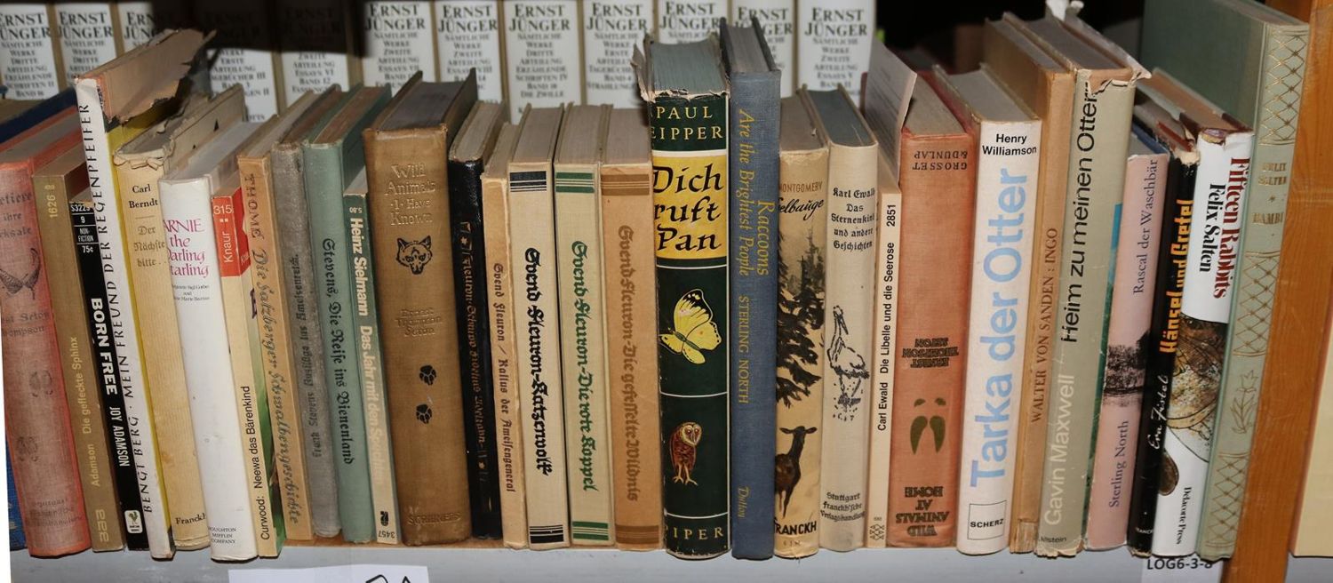 Große Abbildung Nr.24: 140-855 Konvolut: (Varia)