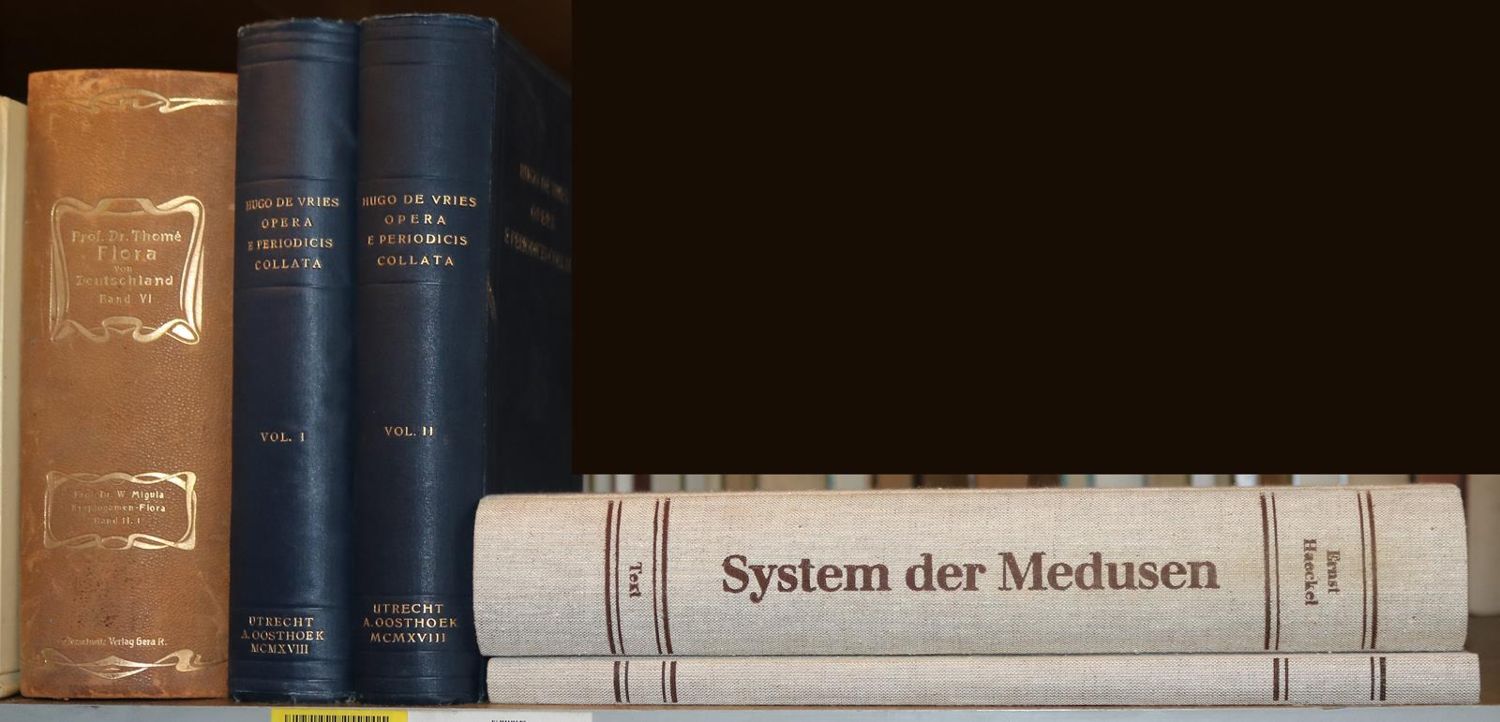 Große Abbildung Nr.29: 140-855 Konvolut: (Varia)