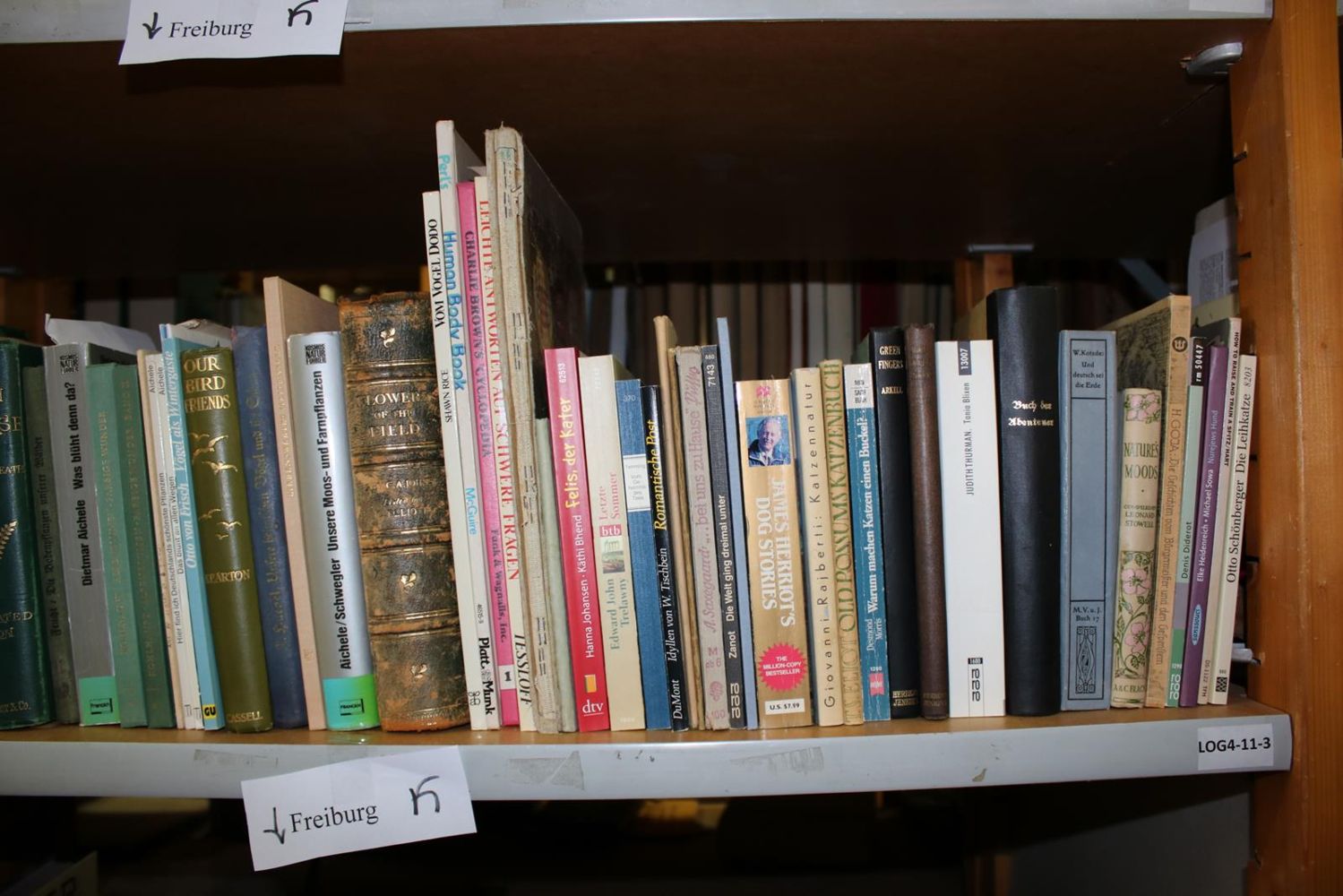 Große Abbildung Nr.26: 140-858 Konvolut: (Varia)