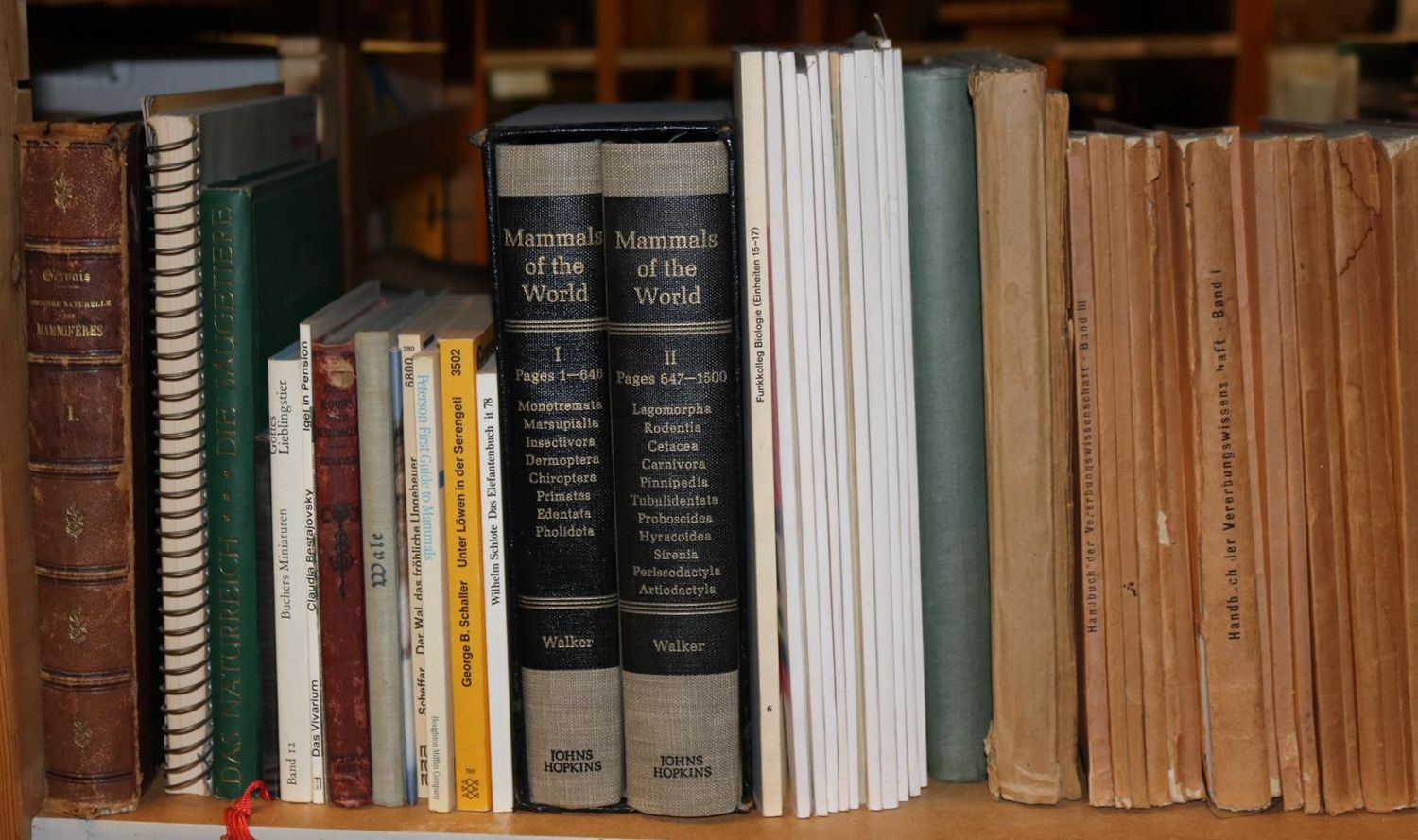 Große Abbildung Nr.215: 140-860 Konvolut: (Varia)