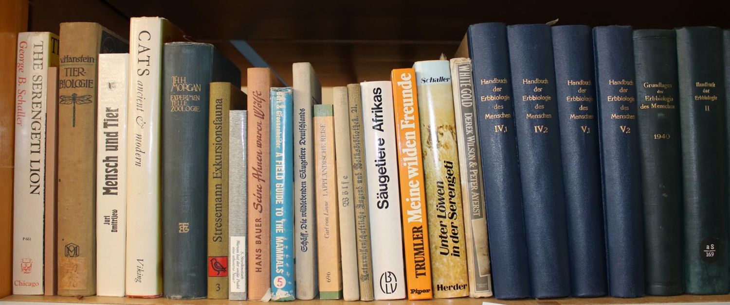 Große Abbildung Nr.23: 140-860 Konvolut: (Varia)
