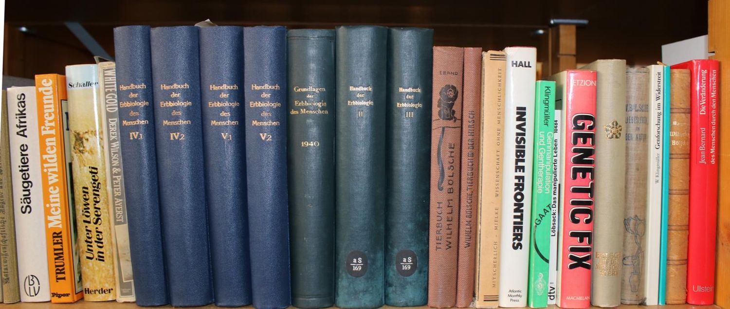 Große Abbildung Nr.24: 140-860 Konvolut: (Varia)