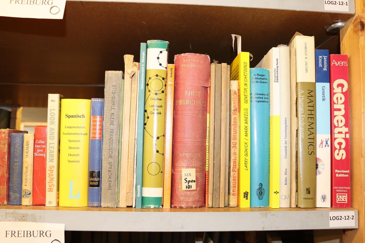 Große Abbildung Nr.26: 140-862 Konvolut: (Varia)