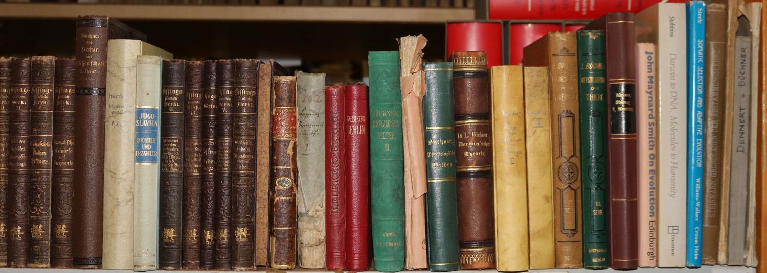 Große Abbildung Nr.3: 140-863 Konvolut: (Varia)