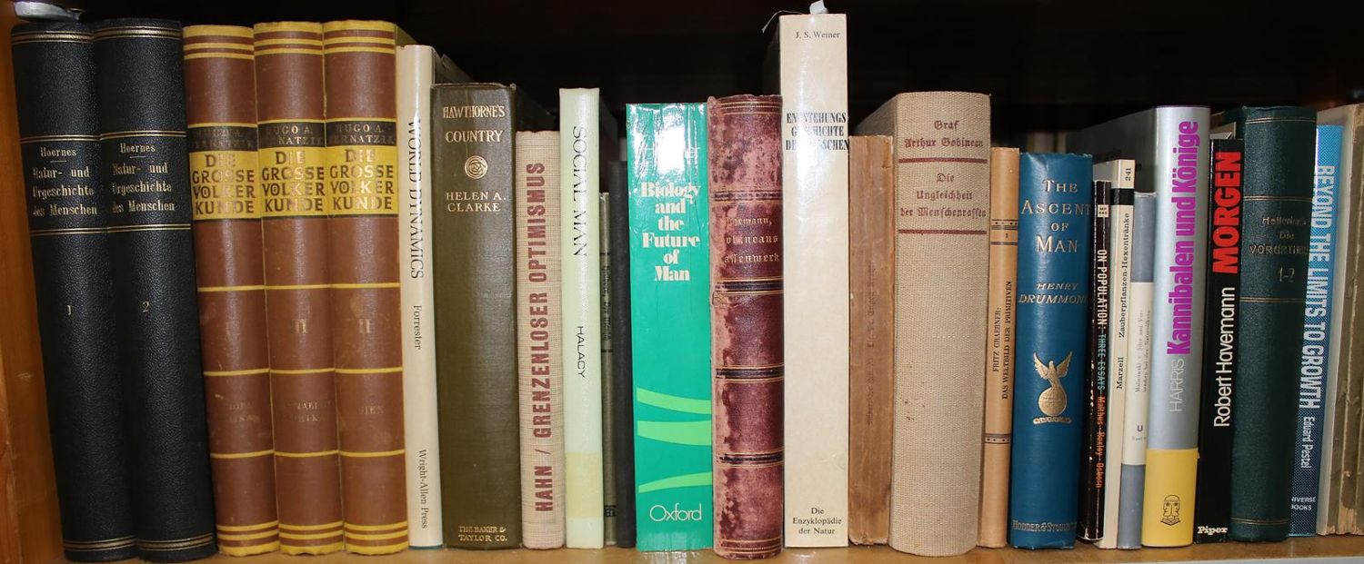 Große Abbildung Nr.25: 140-867 Konvolut: (Varia)