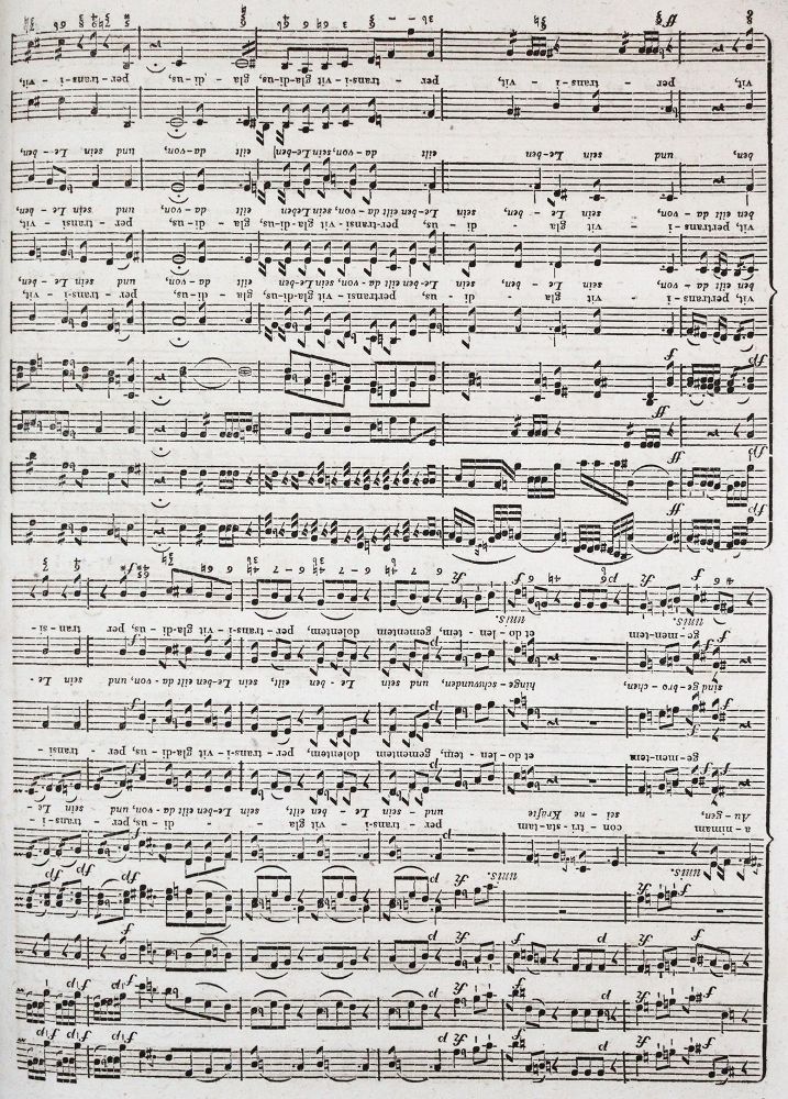 Große Abbildung Nr.2: 140-926 Haydn,J.: (Musik)
