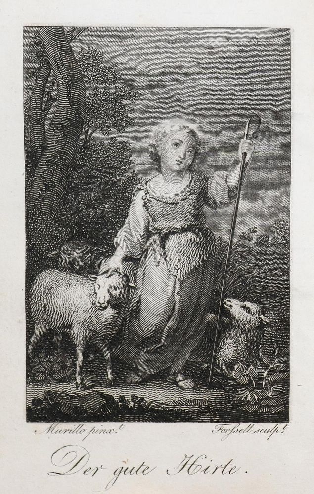 Große Abbildung Nr.12: 140-991 Rückgänge: (Varia)