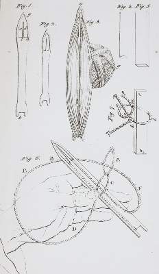 Bild Nr.2: 140-1023 Tscheiner,D.J.: (Jagd, Angeln)