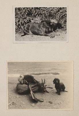 Bild Nr.2: 140-1026 Album.: (Jagd, Handschriften)