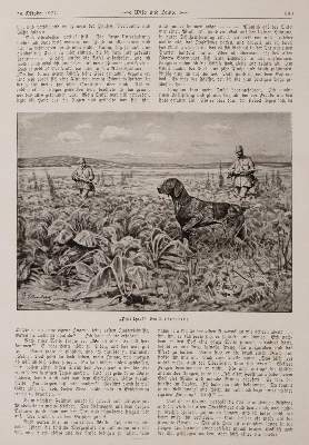 Bild Nr.4: 140-1030 Sammlung: (Jagd)