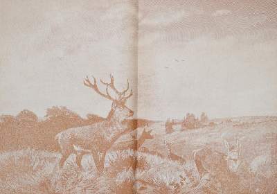 Bild Nr.2: 140-1032 Waidwerk, Das,: (Jagd)