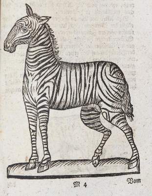 Bild Nr.2: 140-1035 (Curieuser: (Küche und Haushalt)