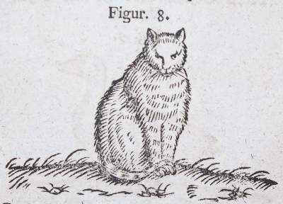 Bild Nr.3: 140-1035 (Curieuser: (Küche und Haushalt)