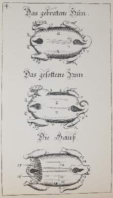 Bild Nr.2: 140-1039 Rottenhöfer,J.: (Küche und Haushalt, Getränke, Kaffee)