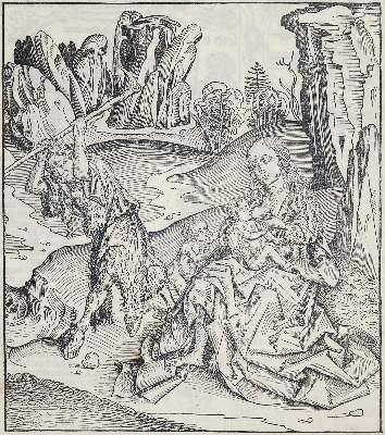 Bild Nr.2: 140-105 Schedel,H.: (Buchholzschnitte)