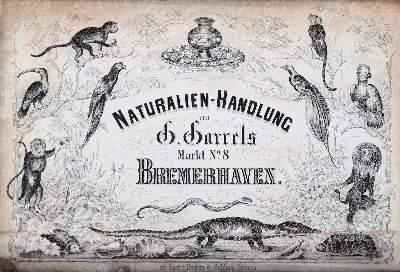 Bild Nr.8: 140-1058 Menukarten.: (Küche und Haushalt)