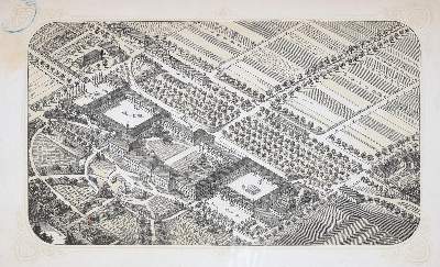 Bild Nr.2: 140-1071 Beschreibung: (Land- und Forstwirtschaft, Hohenheim)