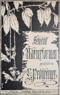 Bild Nr.3: 140-1159 Pronberger,L.: (Ornamente, Jugendstil)