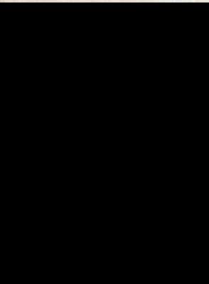 Bild Nr.1: 140-1227 Castelli,N.: (Lexika - Wörterbücher - Sprachwissenschaften)