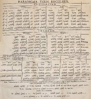 Bild Nr.2: 140-1237 Opitz,H.: (Lexika - Wörterbücher - Sprachwissenschaften)